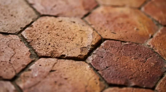 Gros plan sur des tomettes anciennes en terre cuite disposées sur un sol, révélant leur patine authentique et leurs nuances naturelles de rouge, ocre et brun